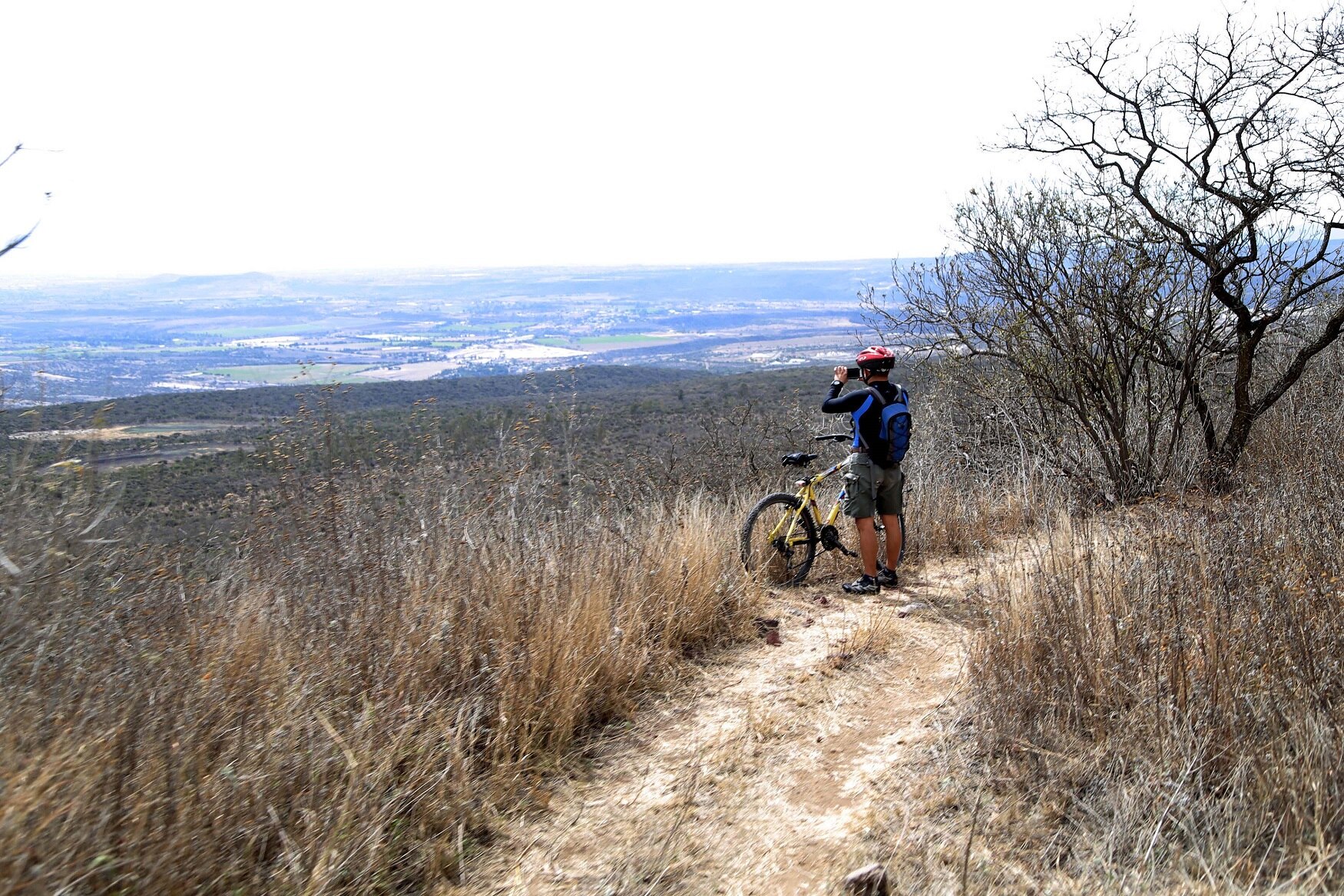 Foto: Archivo. EL UNIVERSAL