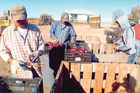 Promueven programa laboral para Canadá