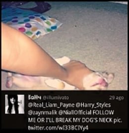 Por Twitter, fan de 1D amenaza matar a perro 
