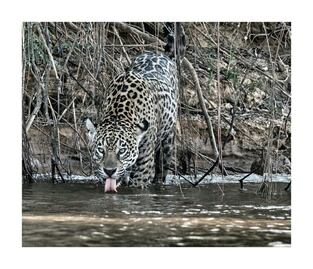 Gerardo Proal nos muestra “La aventura de la vida”