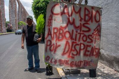 Trueque. Cambia arbolitos por despensas para sobrevivir