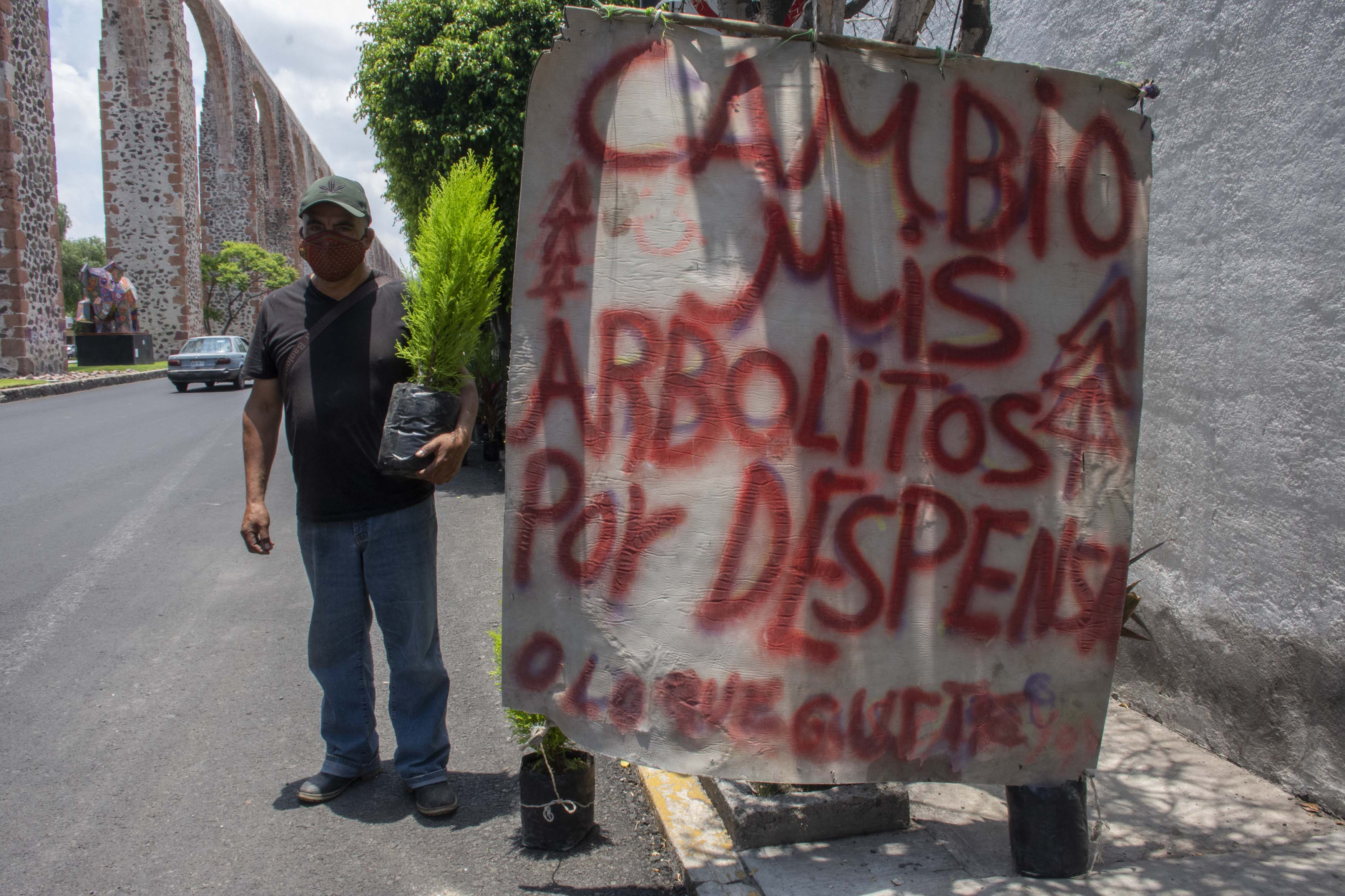 Trueque. Cambia arbolitos por despensas para sobrevivir