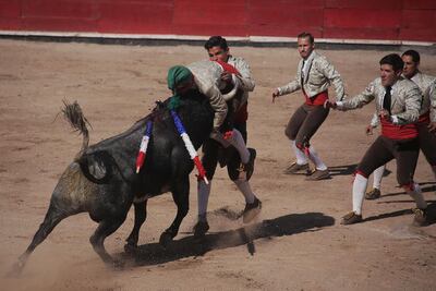 Forcados, 35 años dando la vida en el ruedo  