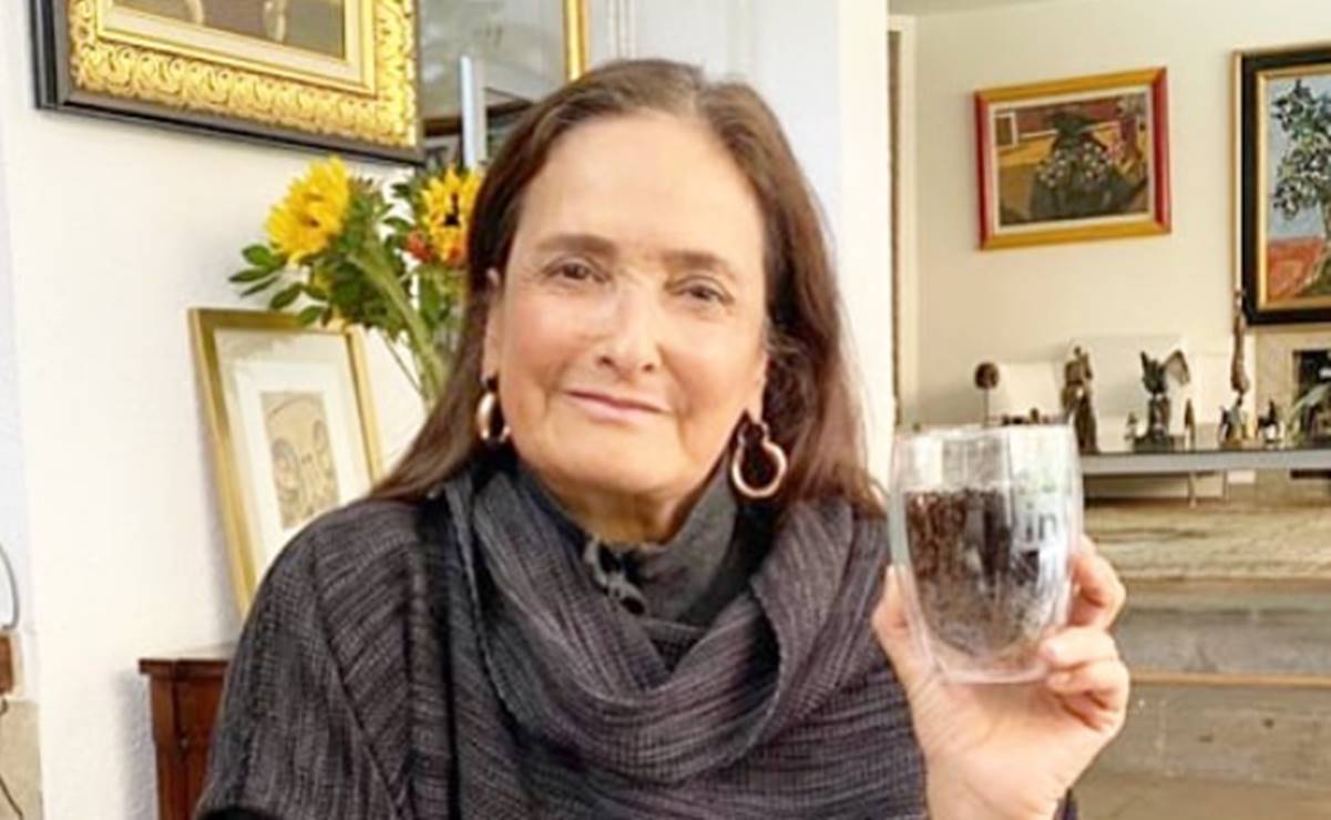 Critican a diputada de Morena por usar mocasines de 50 mil pesos