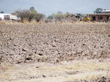 Por falta de apoyo, migra 60% de campesinado 
