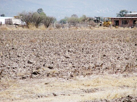 Por falta de apoyo, migra 60% de campesinado