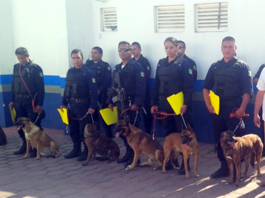 Crece la Unidad Canina de El Marqués