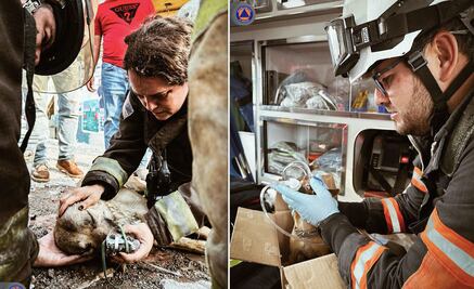 Rescatan a lomitos; eran vigilantes de una bodega que terminó incendiada
