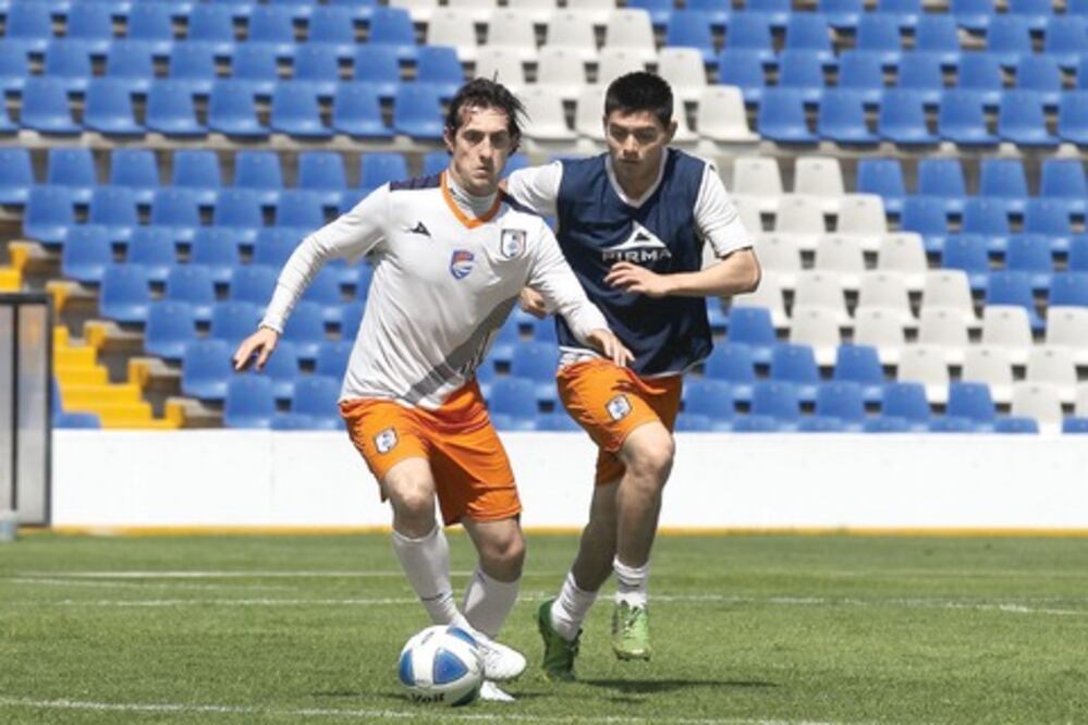 Gallos recuperan la confianza