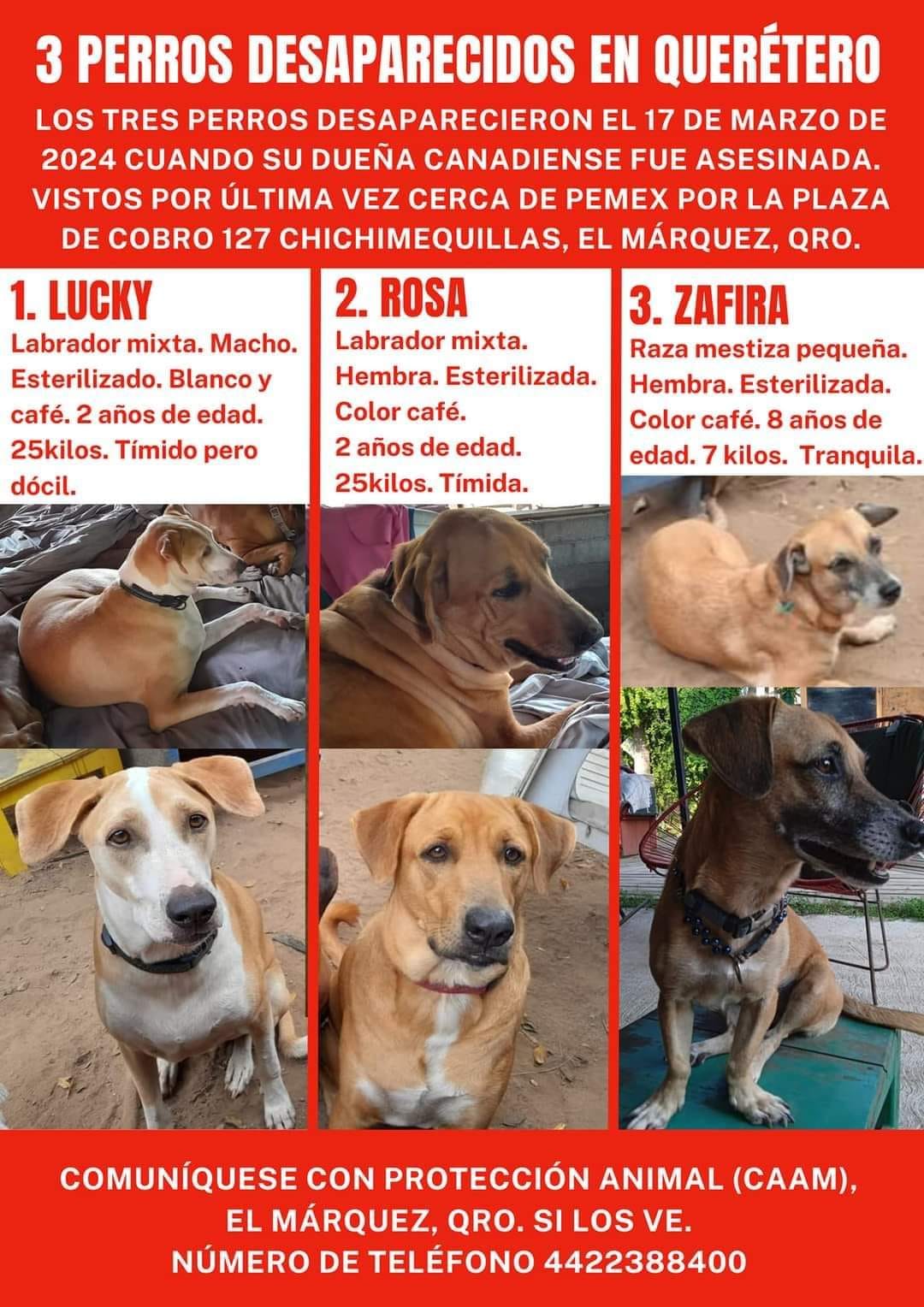 Foto: El Universal Querétaro