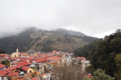 Obsoleta, NOM para control de plagas