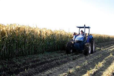 La reforma fiscal y la soberanía alimentaria