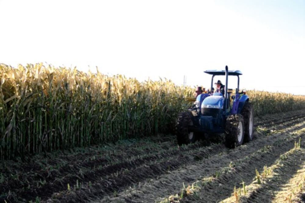 La reforma fiscal y la soberanía alimentaria