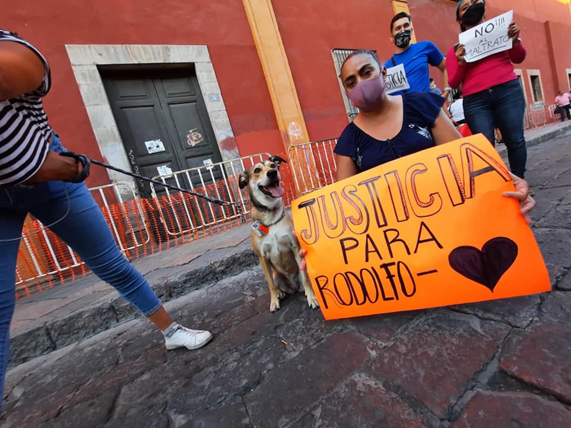 Foto: Facebook. Animalistas Querétaro. Dani Olivares.