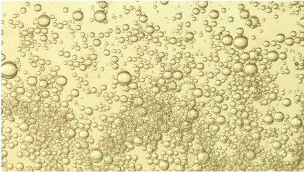 La singular reacción química que hace que el champán tenga burbujas
