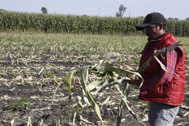 Foto: Archivo. El Universal