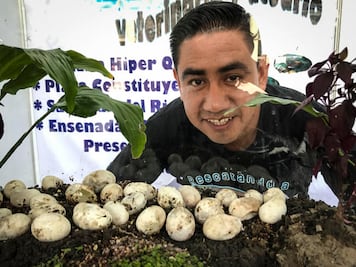 Promueven conservación animal en la Expo Acuario