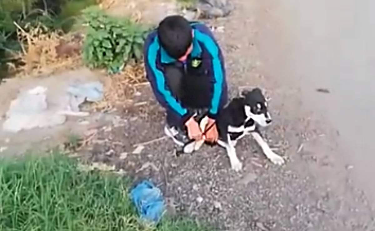 Ata a su perro y lo avienta a río en Chiconcuac; vecino lo cacha y lo obliga a rescatarlo