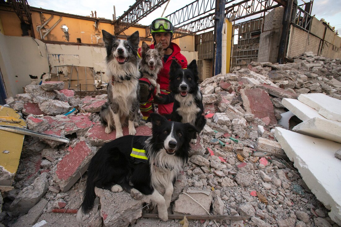 Perros rescatistas: amor, lealtad y compromiso