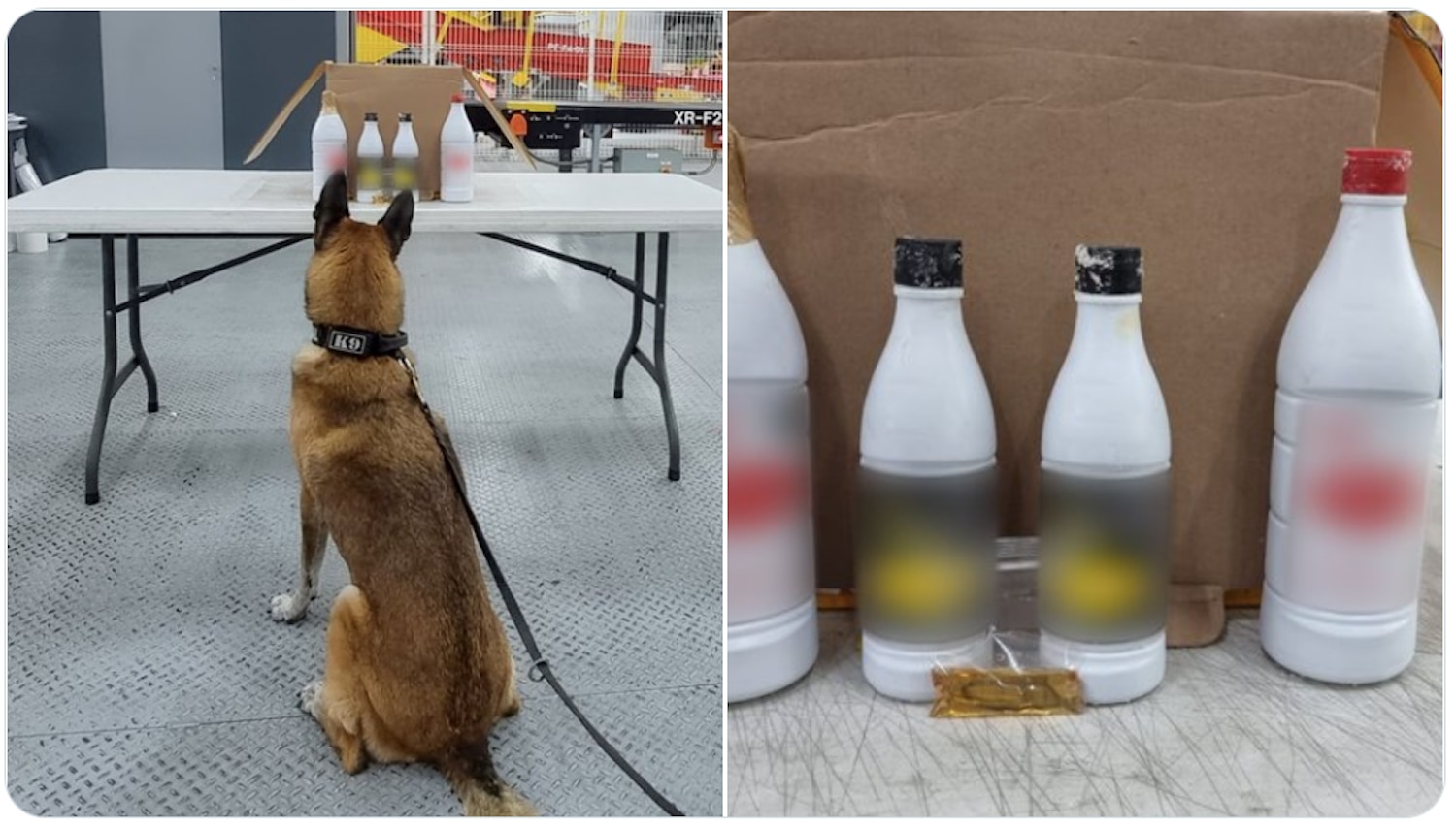 No era salsa; lomito halla droga en paquete del Aeropuerto de Querétaro