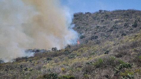 Querétaro acumula 81 incendios forestales, en lo que va del año