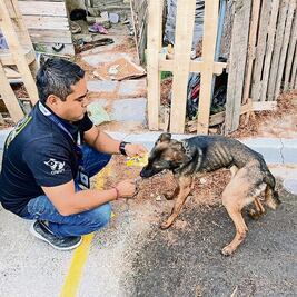 Multan por maltrato a dueño de dos perros