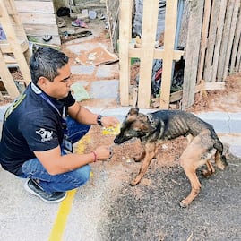 Multan por maltrato a dueño de dos perros