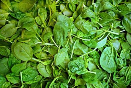 5 alimentos que ayudan a prevenir las estrías