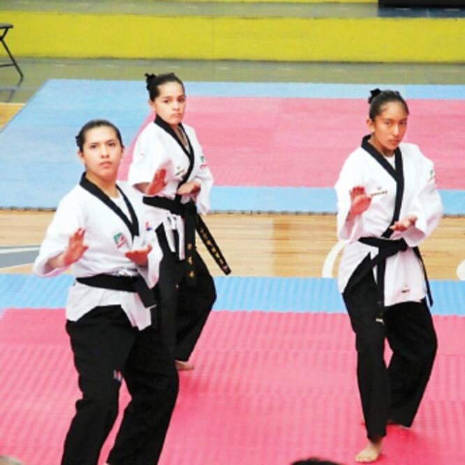 Taekwondoínes van a la ON 2014