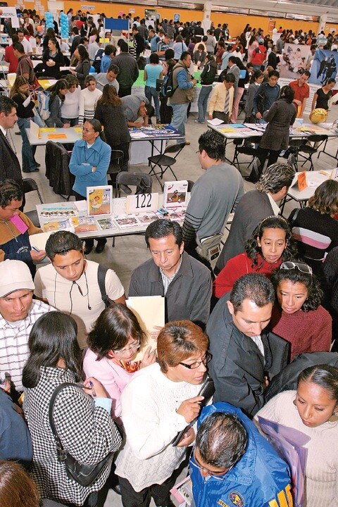 Cae 48% la generación de empleos