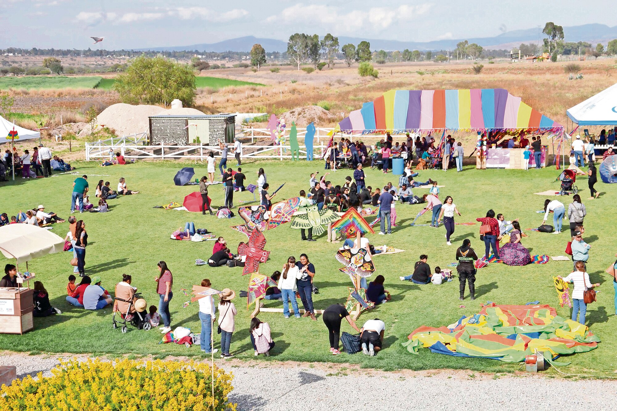 Cometas sobrevuelan Tequis