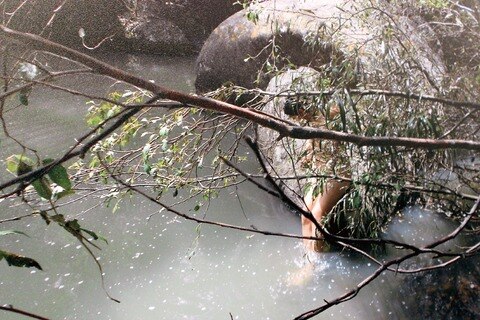 ArteSano viaja a Londres