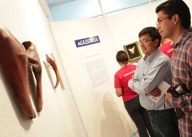 Juego Erótico con una Hoja Seca de Palma