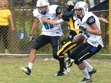 Gatos Salvajes,  por buen camino