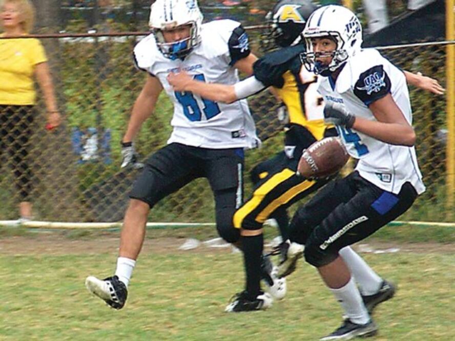 Gatos Salvajes,  por buen camino