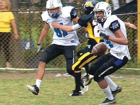 Gatos Salvajes,  por buen camino