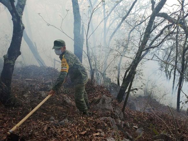 Mil 263 hectáreas afectadas por el fuego: Conafor