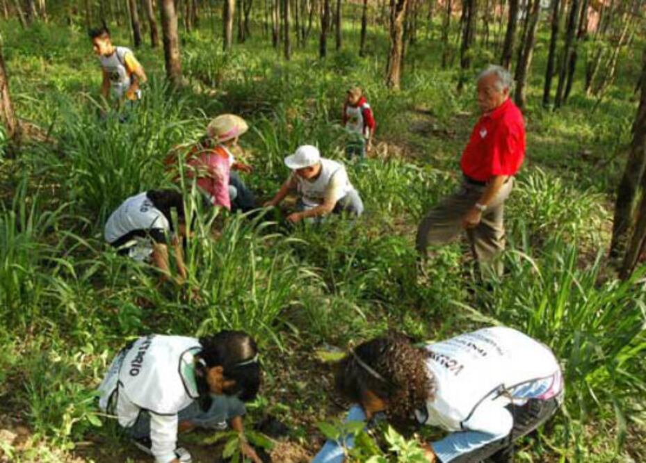 Garantizan 120 mdp para reforestación