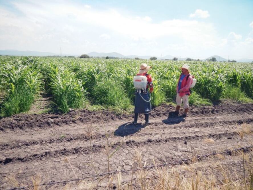 Llaman a trabajar bien en Canadá