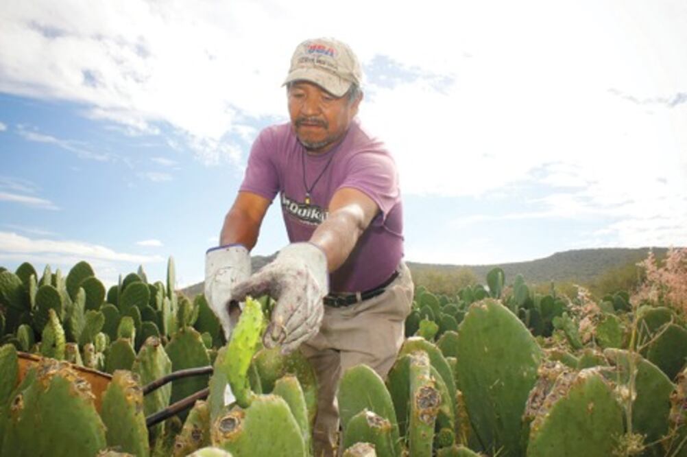 Balanza comercial registra déficit: Inegi