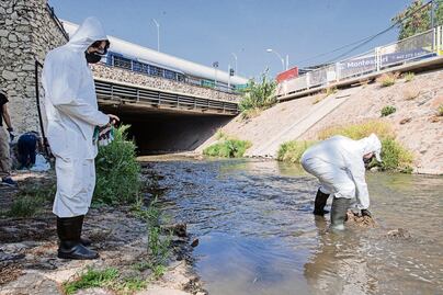 Avanza saneamiento del río Querétaro