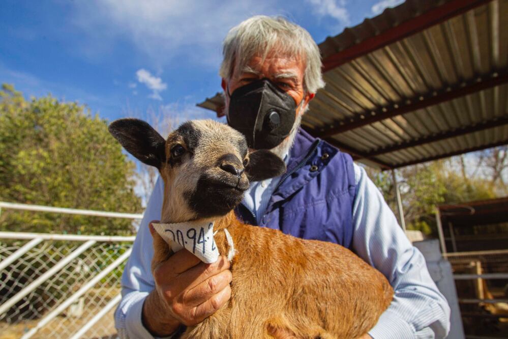 Foto: Demian Chávez