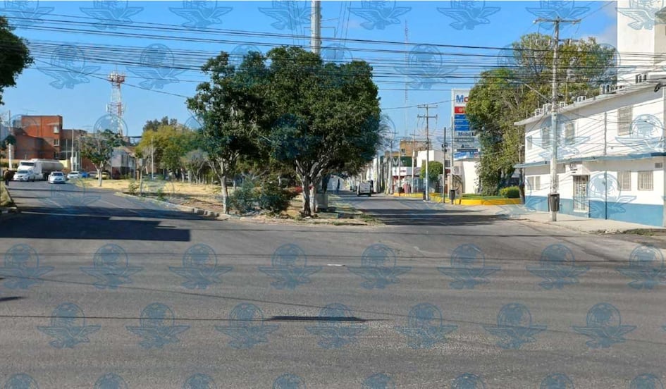 Tras Nochebuena, la capital regresa a la vida