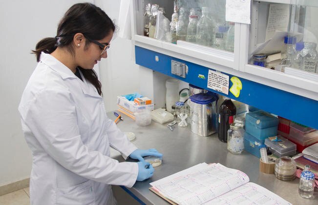 Buscan bacteria para degradar el plástico