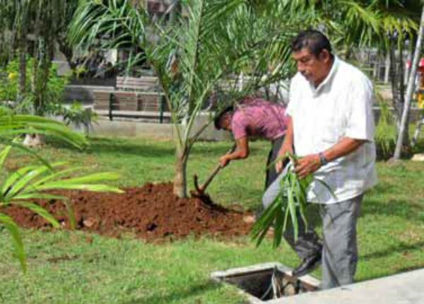 Le apuestan a la mejora urbana