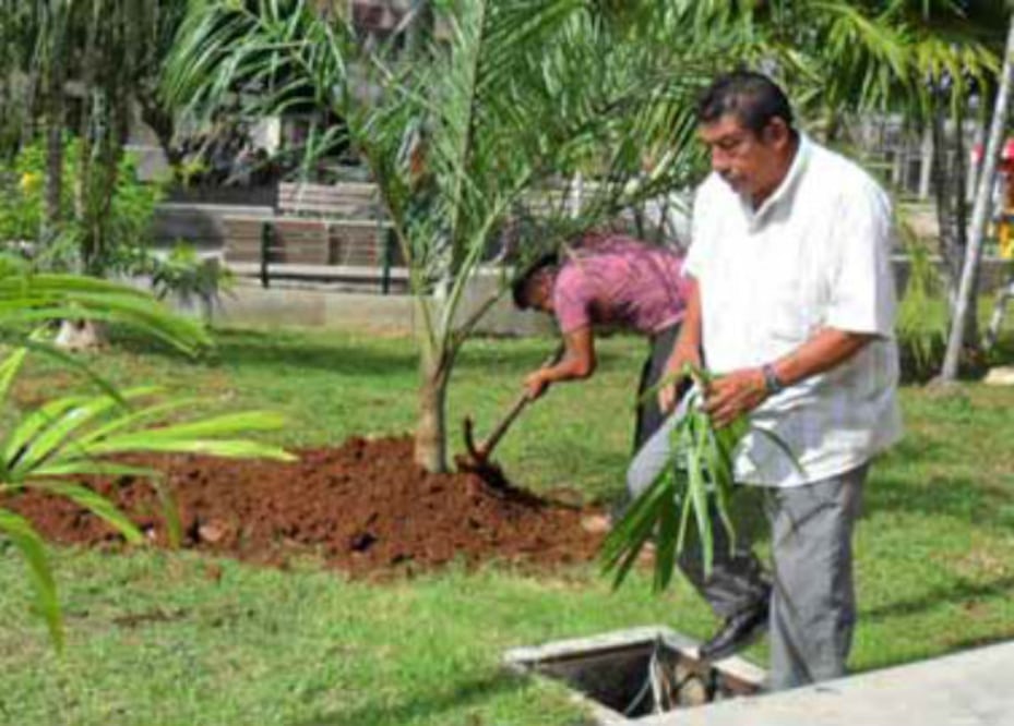 Le apuestan a la mejora urbana