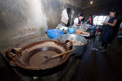 Guajolotes: 6 de cada 10 residen en Amealco