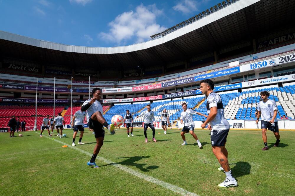 Foto: Cortesía Gallos Blancos