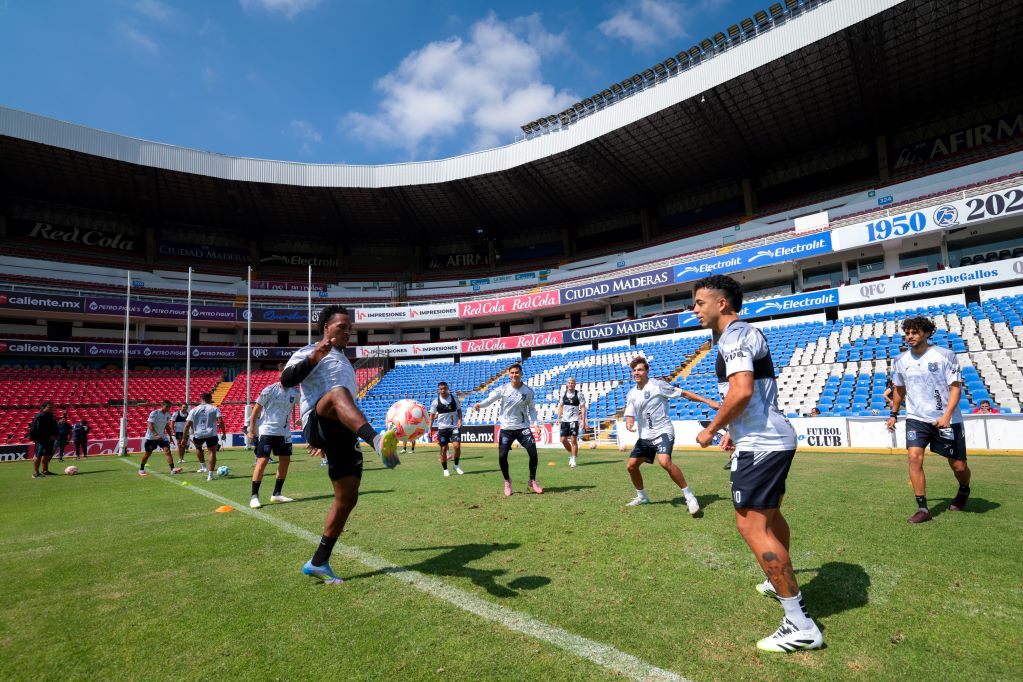 Foto: Cortesía Gallos Blancos