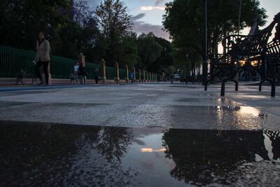 Anticuarios y Canirac, en contra de la reinstalación